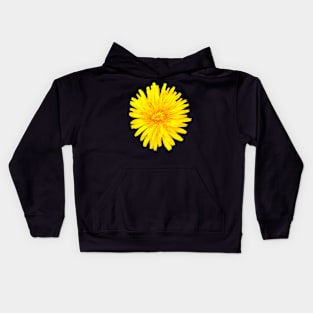 Dandelion Taraxacum officinale  brilliant yellow wildflower with shades of red Kids Hoodie